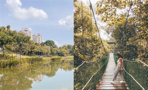 臨滄哪個公園最大——探索城市綠肺的最大秘密