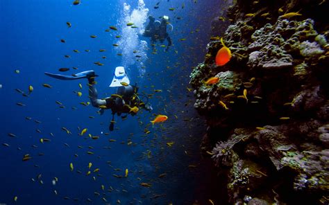 廟灣島潛水多少錢——探秘深海的旅程與費用分析